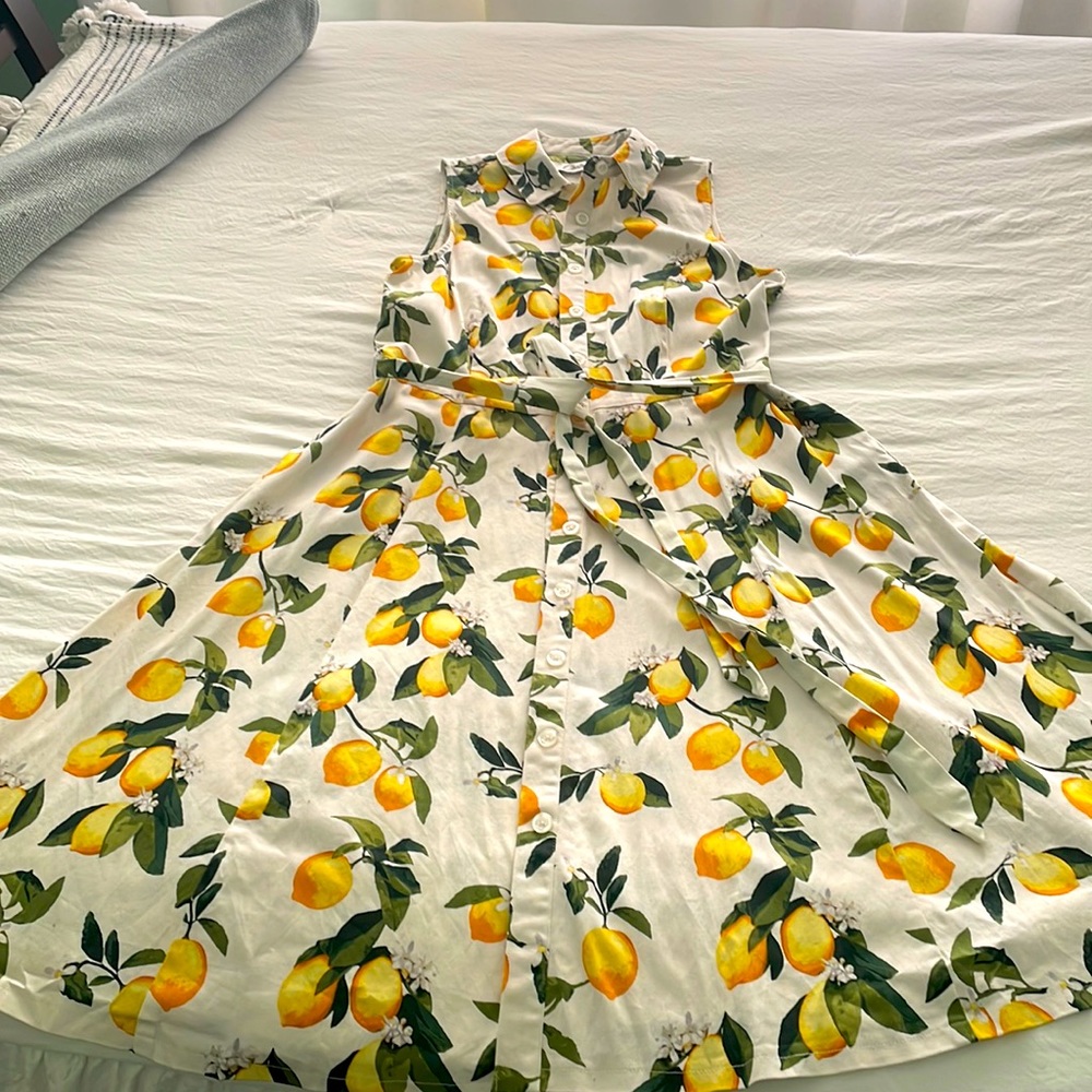 Chetta B lemon dress